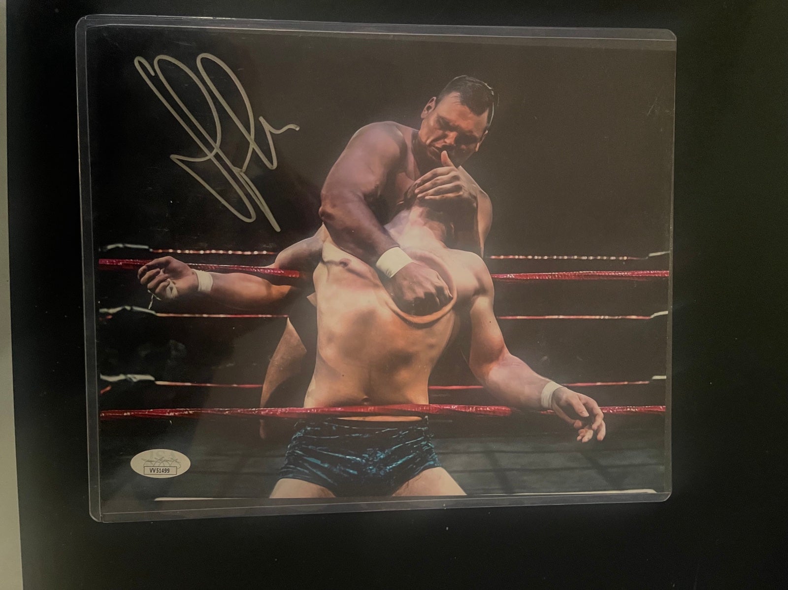 Wwe Walter/Gunther Autograph 8x10 (JSA)