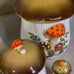 MCM Sears and Roebuck Merry Mushroom Canister Set With S/P Shakers