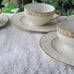 Vintage NORITAKE Savannah Teacup Made in Japan with Halls of Ivy Plates. Set 4.