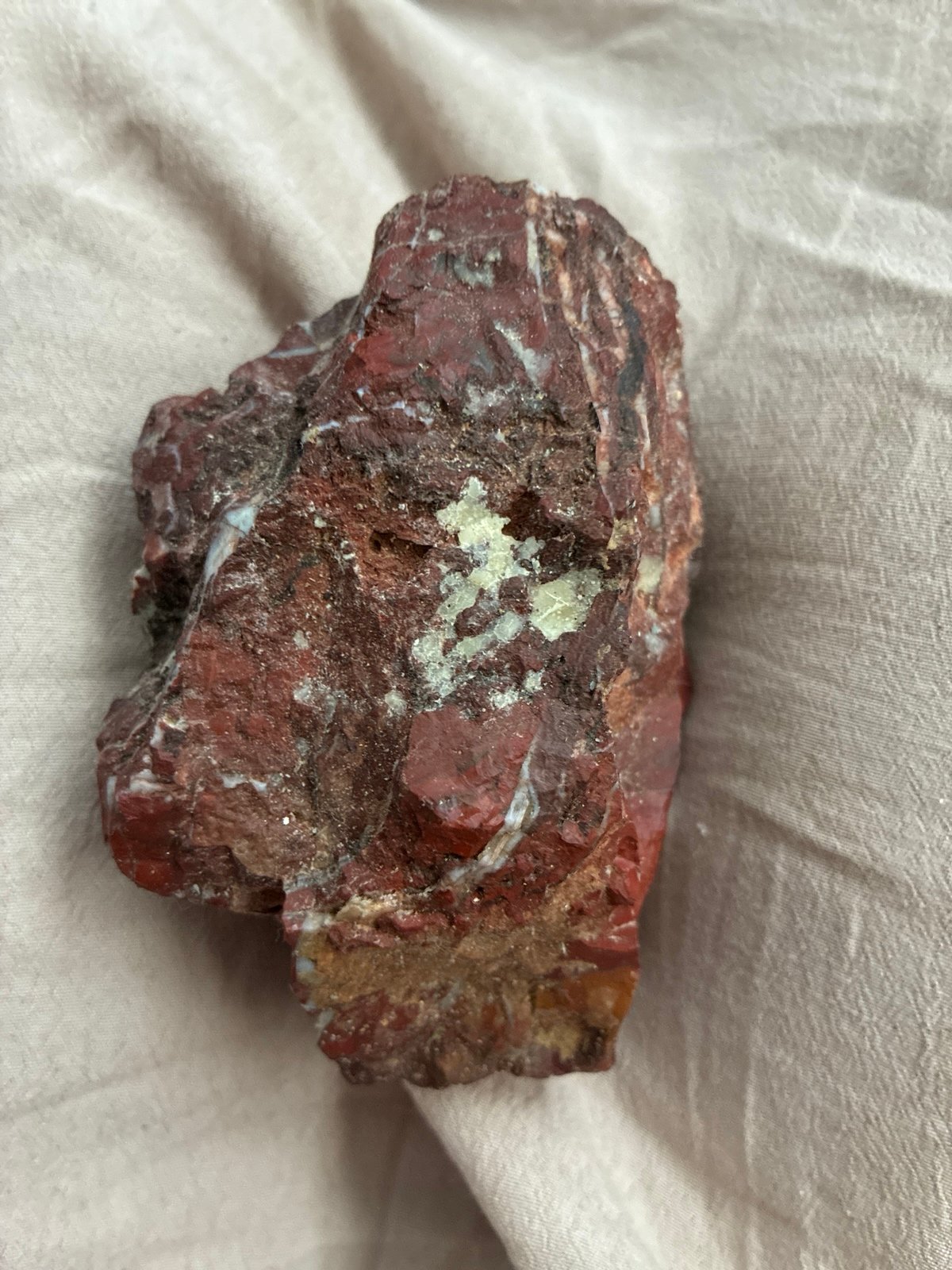 Agate petrified wood