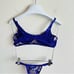 Purple & Gold Floral Lace Underwire Bra & Adjustable Panty Lingerie Set