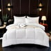 1pc Thickened Comfortable Comforter KING-FH3S
