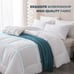 1pc Thickened Comfortable Comforter KING-FH3S