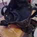 New authentic love Coach water resistant rare massager bag.