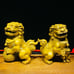 Refined brass Lion ornaments,