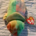 Rare Ty Beanie Baby - RAINBOW the Chameleon