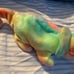 Rare Ty Beanie Baby - RAINBOW the Chameleon