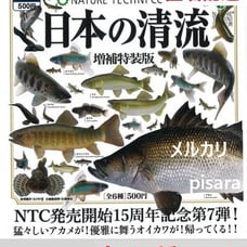 NTC Japan's Clear Streams Complete Set of 6 Special Edition Gachapon