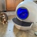 OPEN BOX NEW UNUSED Self Cleaning Litter Box for Cats 2 Pack Cat Litter, Nafcefi