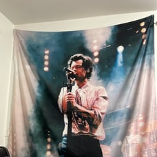 harry styles tapestry