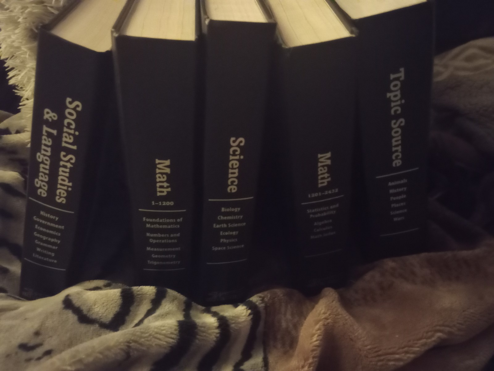 SW Advantage Learning Systemp