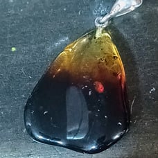 NWT Baltic Amber pendant in Sterling Silver