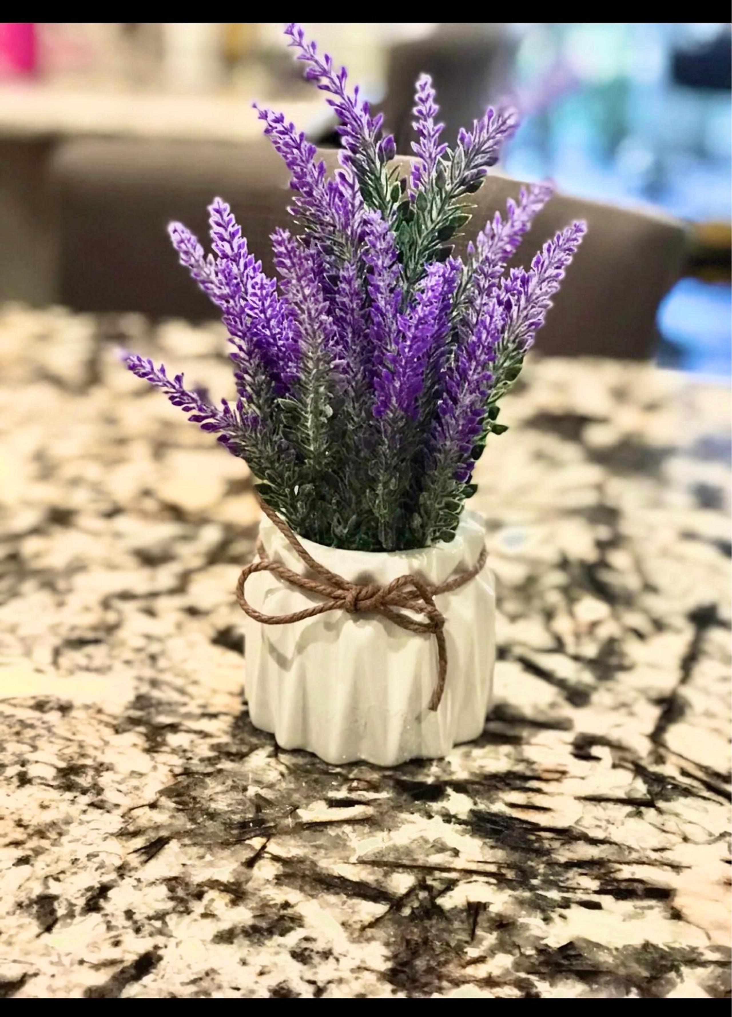 Farmhouse decor - T.J.Maxx