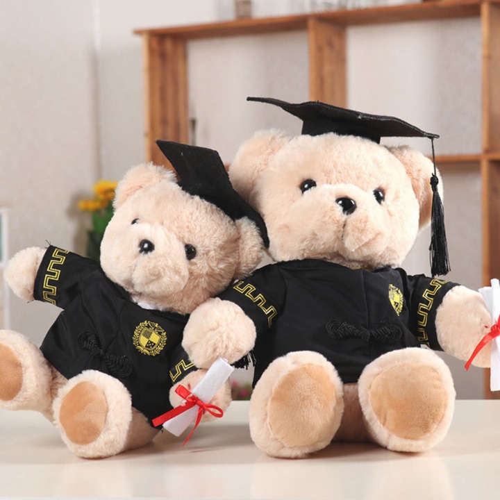 Wearing Dr. Hat Bear Doll Dr. Bear Plush