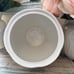 Lenox Butterfly Meadow Canister Medium Jar ********Like New********