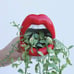 Red Creative Succulent Cactus Pot, Mini Ceramic Plants Containers Sexy