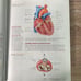Electrocardiography for Healthcare Professionals