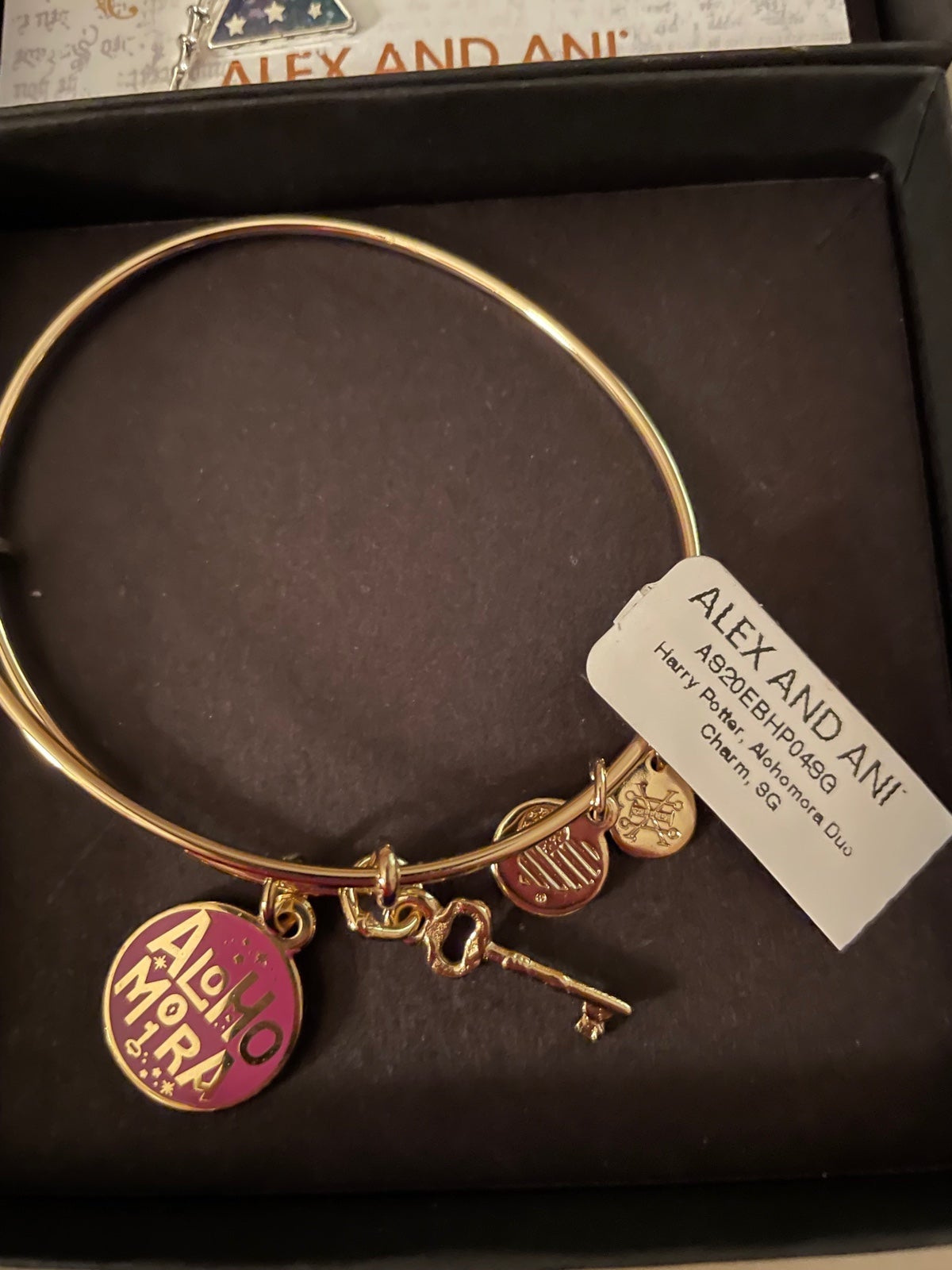 ALEX And ANI Harry Potter Bangle