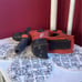 Cordless Rotary Hammer Drill