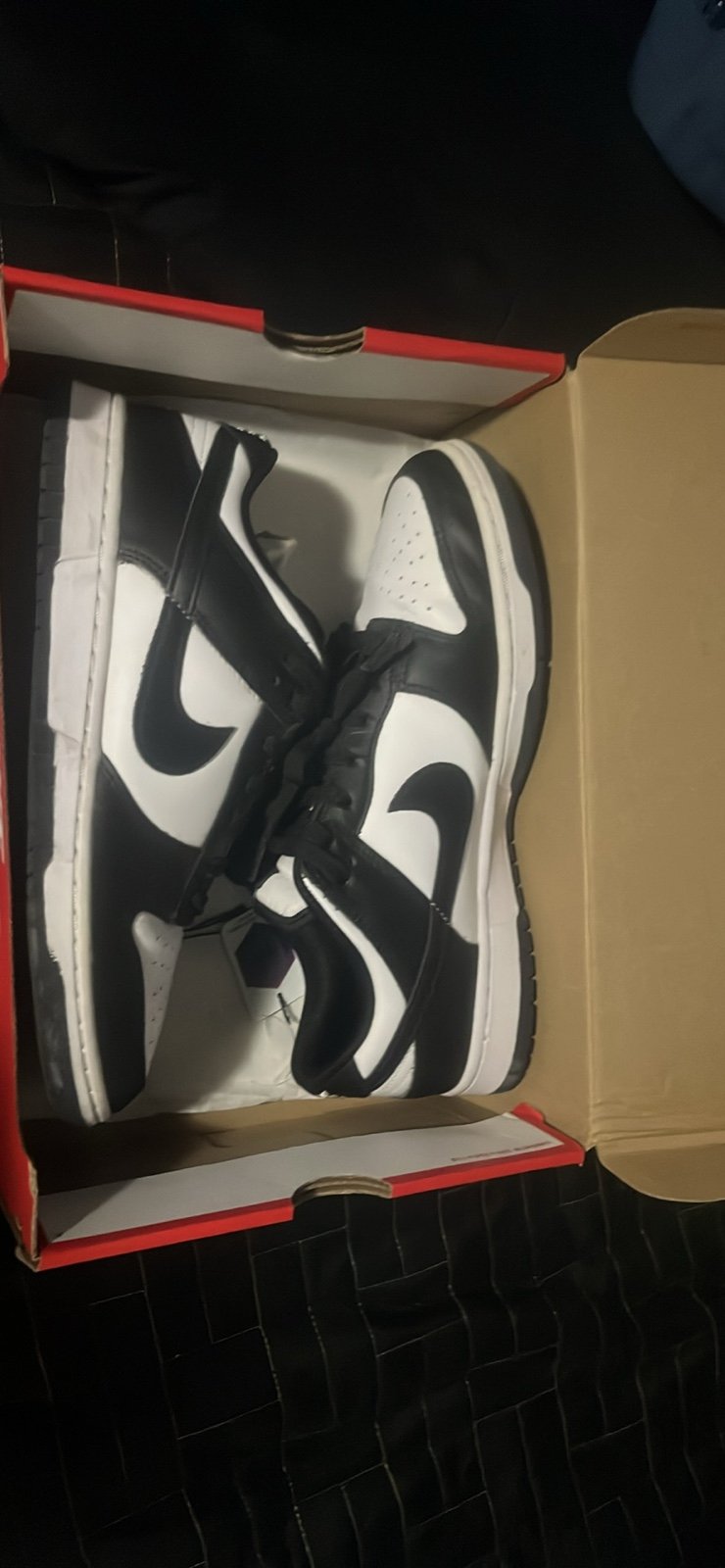 Nike dunks men’s