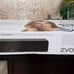 AccuVoice AV155 TV SPEAKER with hearing aid Technology