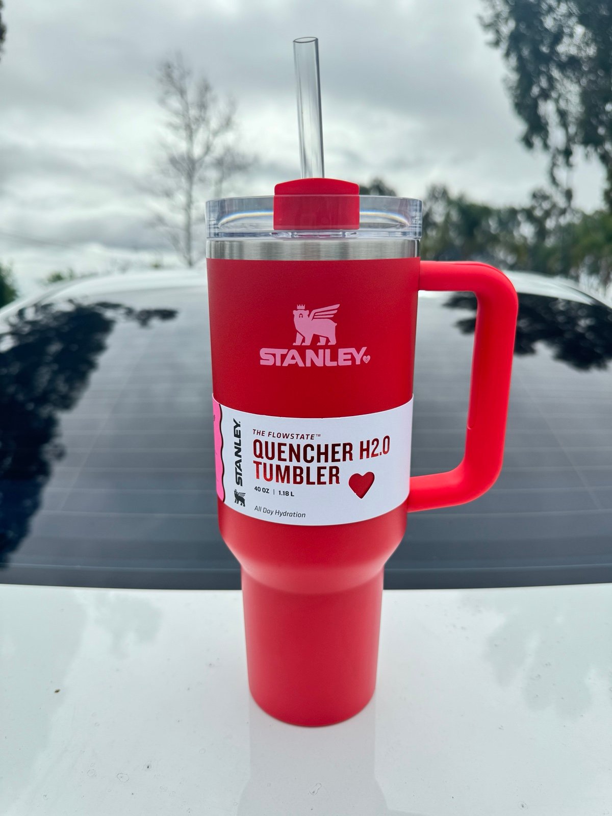 stanley Valentine’s Day red tumbler cup 40 ounce