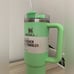 Stanley Quencher H2.0 FlowState Tumbler 30oz Feather Green