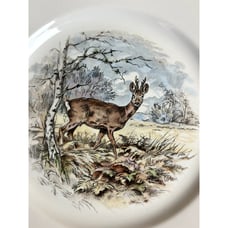 Villeroy & Boch Fontainebleau Wild Game Ceramic Salad Plates Set of 6 8.25