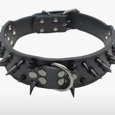Pet Leather Studded Adjustable Collar, Ex-small
