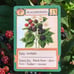 Eco Card Game - a game inspired by nature