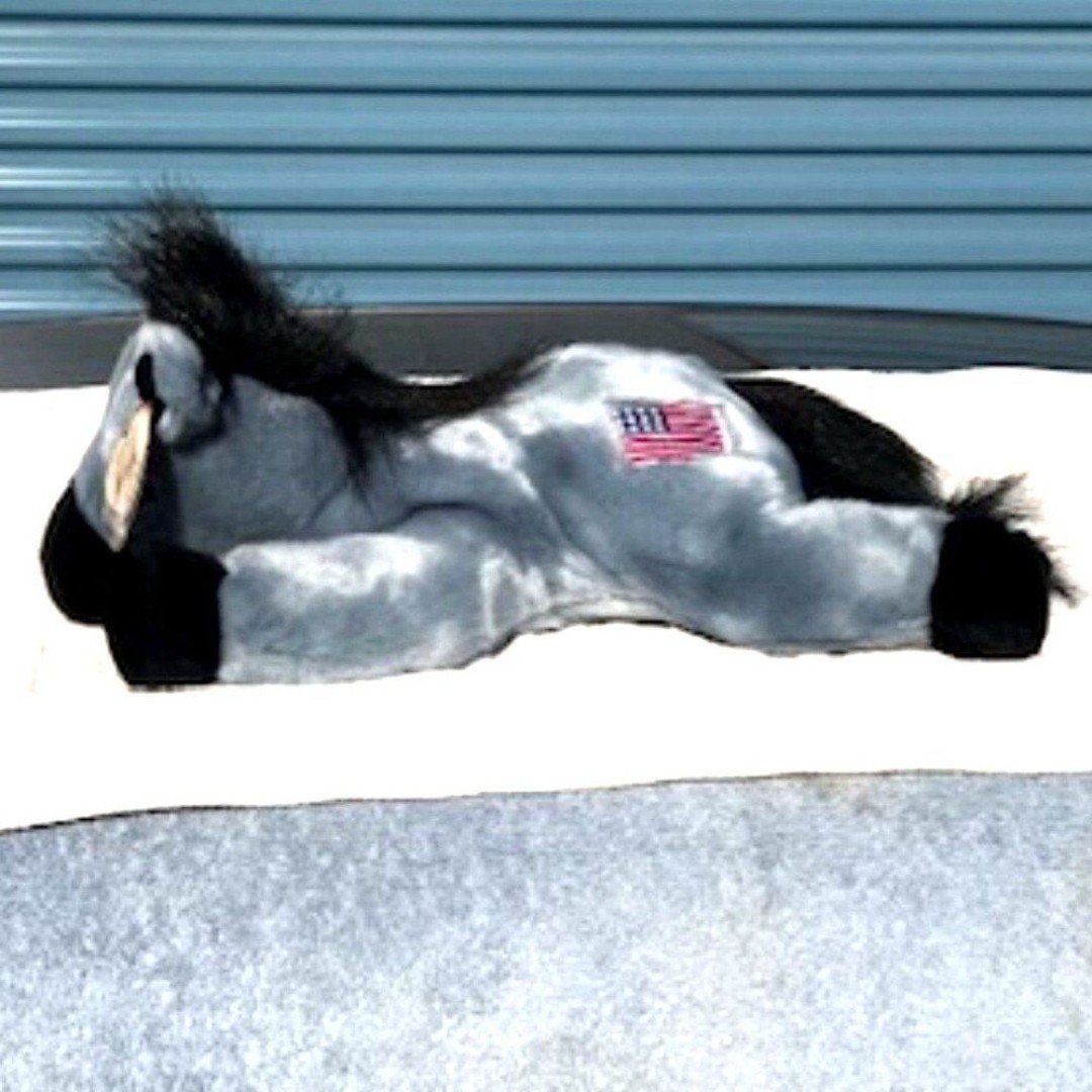 Lefty The Donkey 1996 . TY Beanie Babies . Mint . Rare Original . w/ Case