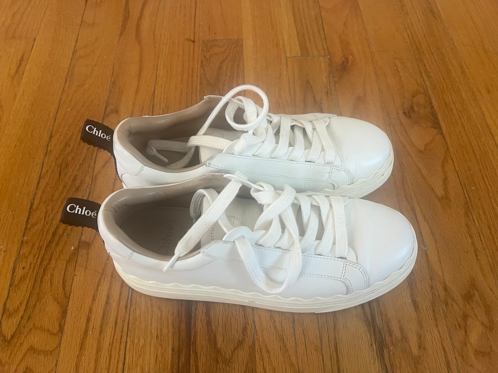 Chloe Sneakers