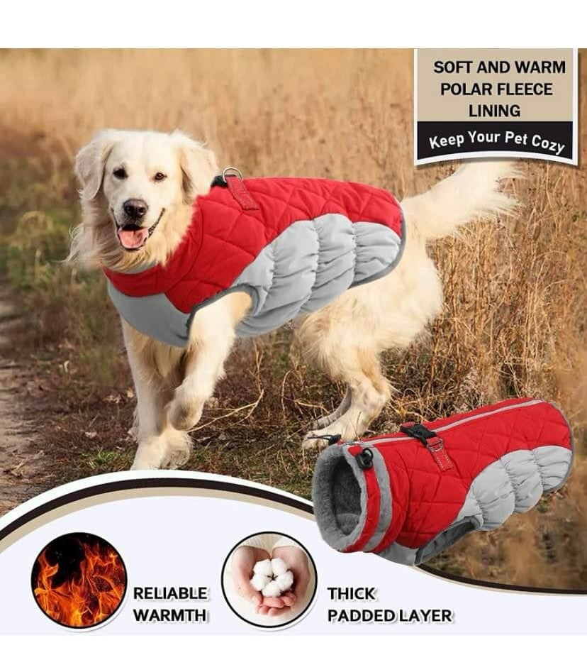 Dog jacket