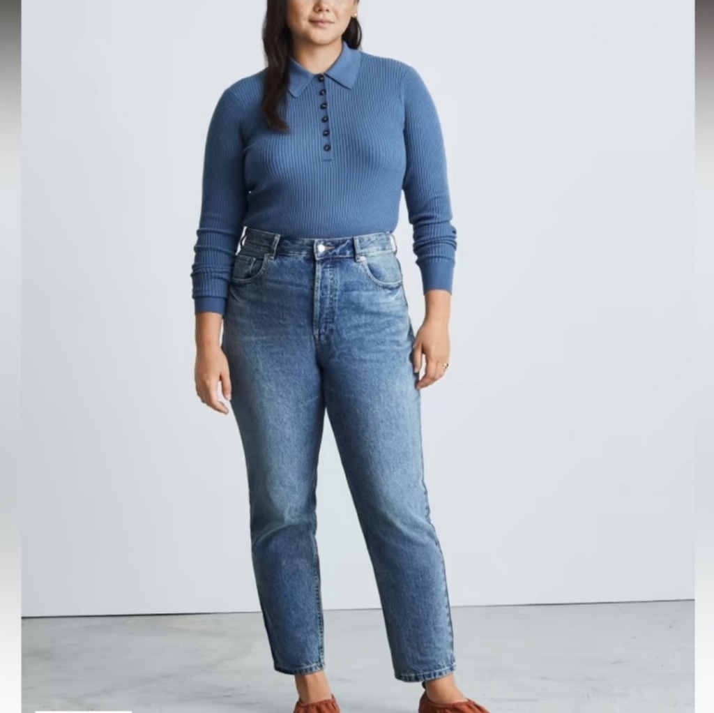 NWT Everlane The Curvy '90s Cheeky Straight Jean Organic Cotton 27 Crop