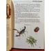 Пауки клещи скорпионы серия Узнай Мир А.В.К Тимошка Hardcover Russian Book