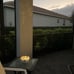 Huaxu Solar Lights Outdoor Garden Decor,Purple Lotus Solar Light,Waterproof LED