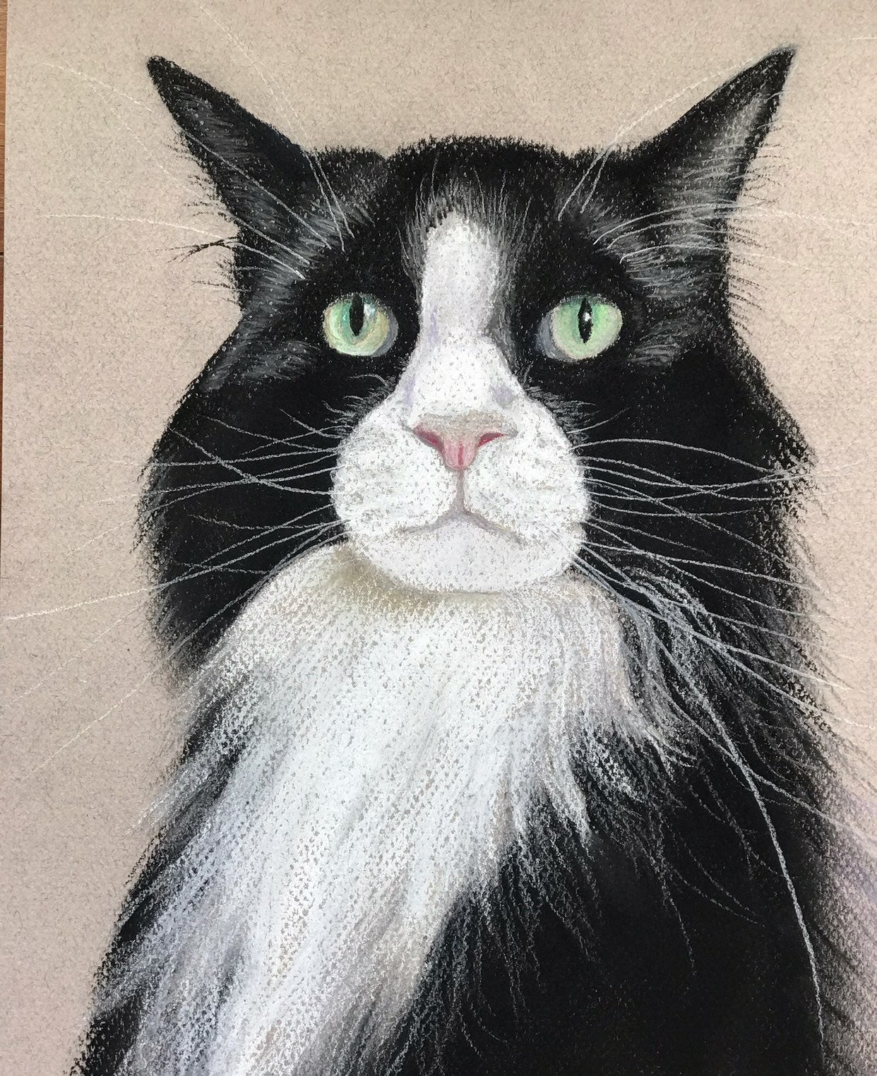 Original pastel drawing of cat