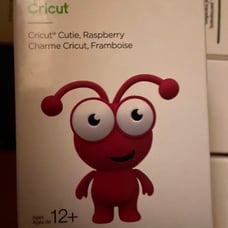 Raspberry Cricut Cutie