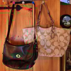 Coach Bags