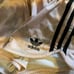 ADIDAS ORIGINALS 2 pc PASTEL ROSE SHIRT & SHORTS SET