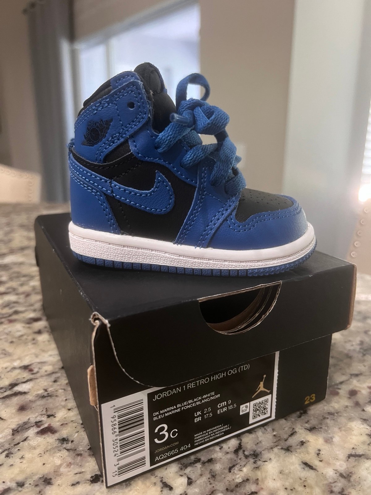 Nike Air Jordan 1 Retro High OG Shoes