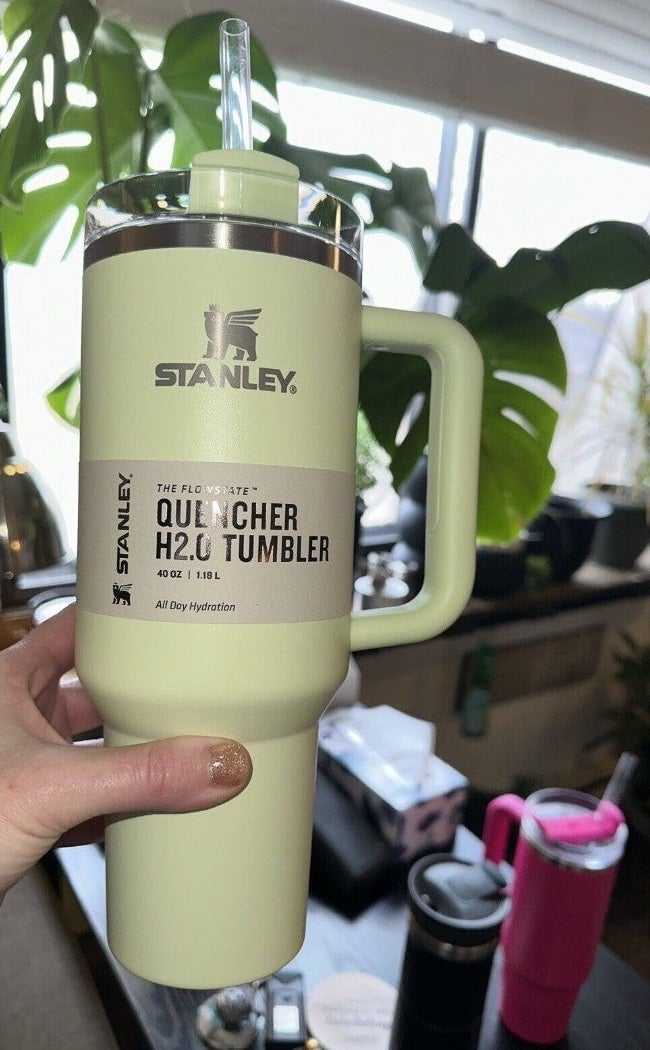 Limited Edition Stanley Tumbler 40oz Pale Lime w Box Target Exclusive