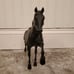Midnight sun breyer