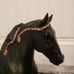 Midnight sun breyer