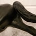 Midnight sun breyer