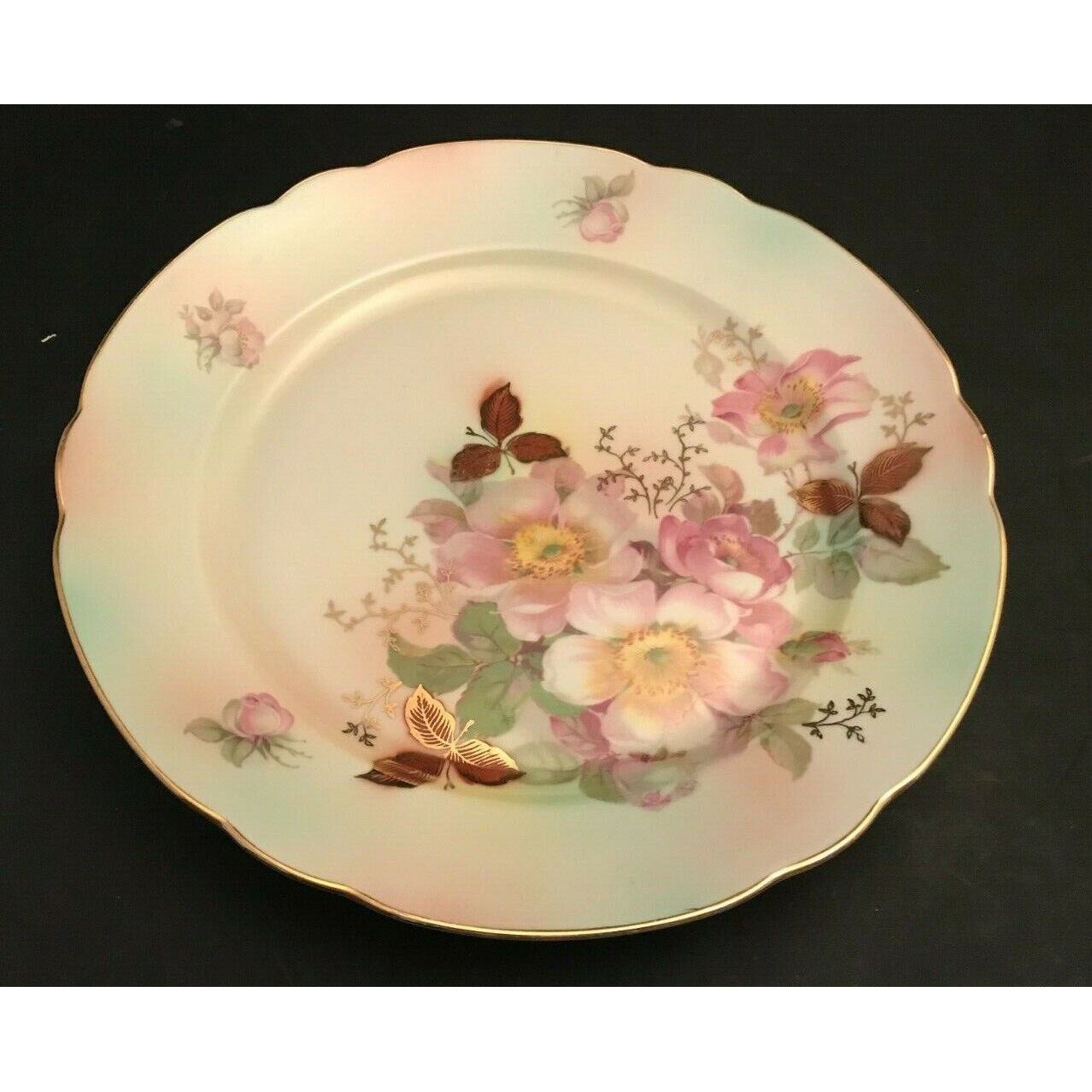 Bavaria Schumann Arzberg Germany 12 Plate Dish Floral