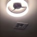 Light