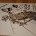 METALLICA (1) Double Sided POSTER 11x17