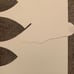Foil Quill Bundle
