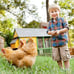 BestPet 87 x 41 Large Metal Chicken Coop Run Rabbit Enclosure Pen with Waterpro